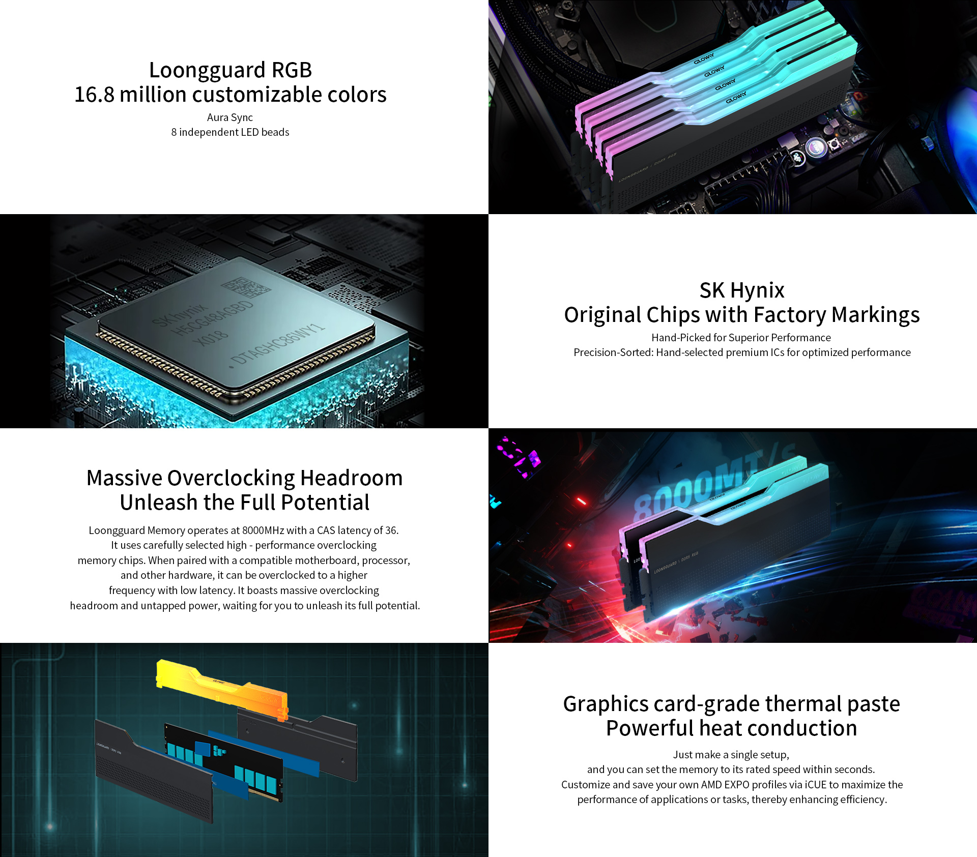 龙武RGB 英文.jpg
